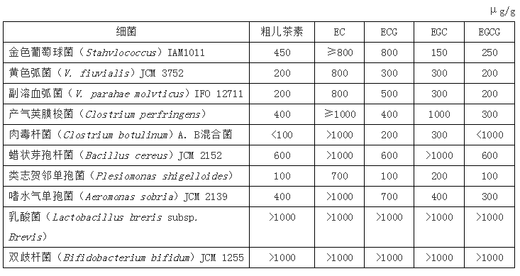 茶的杀菌和抗病毒功效