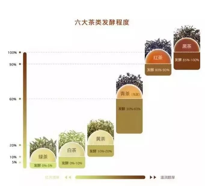 一次性把中国茶讲清楚！