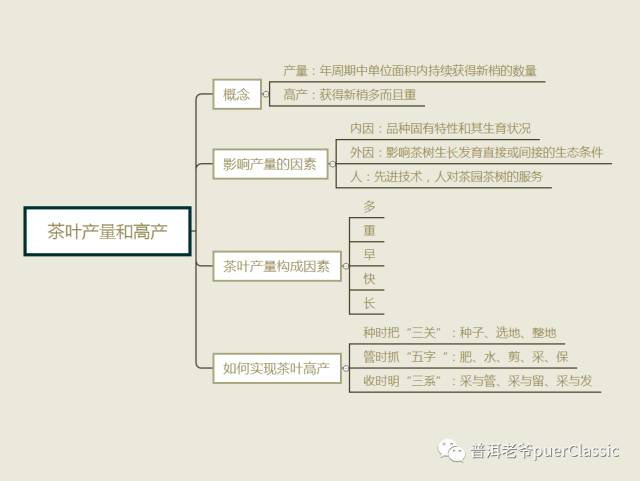 如何提高茶园生产力