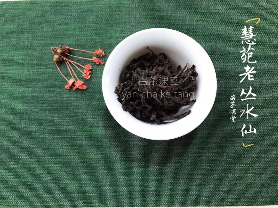 龄老的茶树，它的茶汤更清甜，汤感更醇厚吗