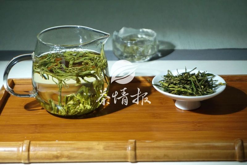 两招教你辨别绿茶好坏，速速来学！