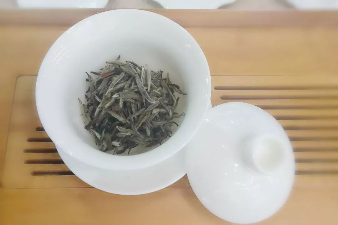 茶杯的选择会影响茶汤口感吗？