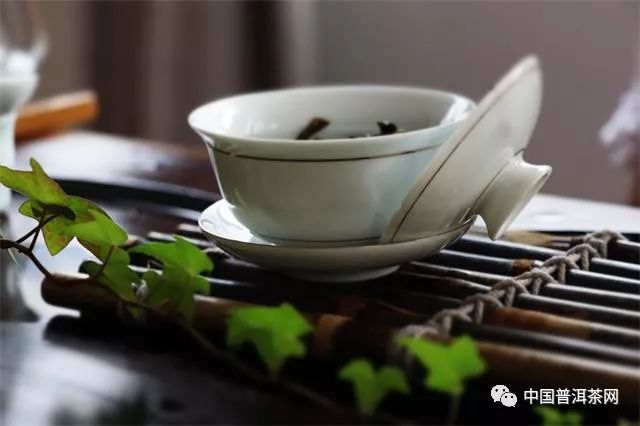 不同的普洱茶应该如何来冲泡丨实用