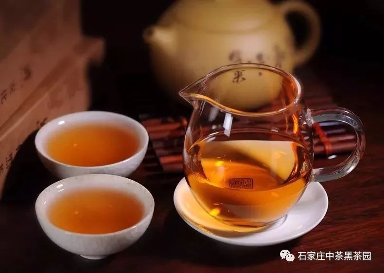 茯砖茶里的“金花”能给茶带来什么改变？