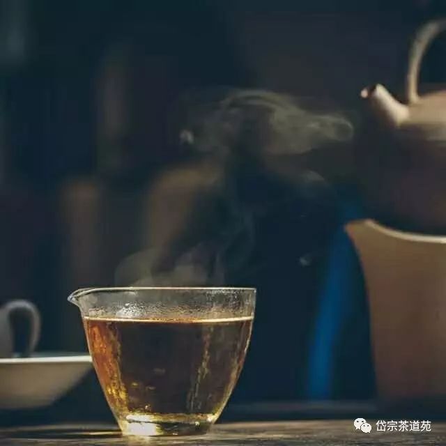 白茶的功效有哪些呢？