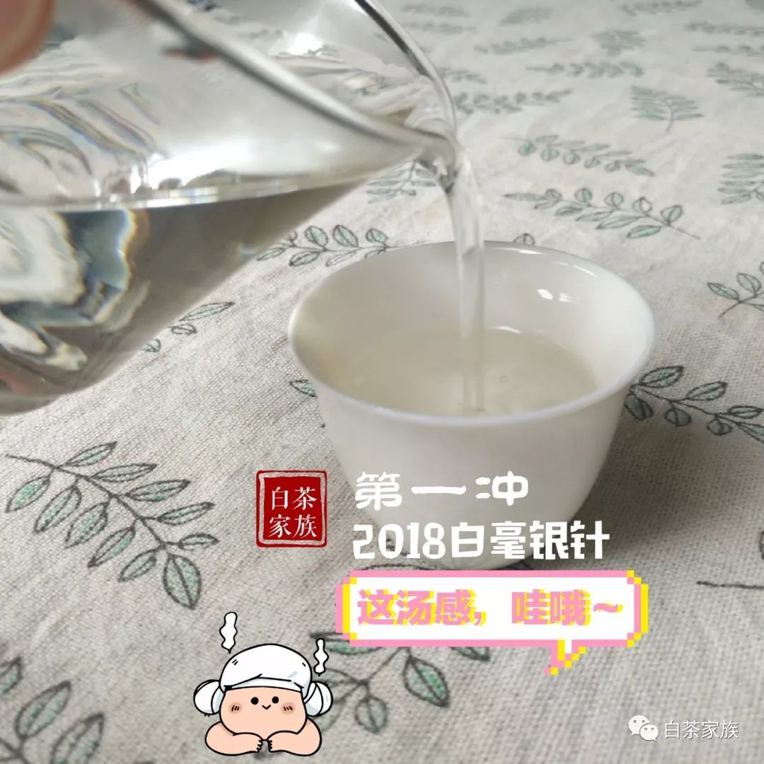 不看后悔，春白茶的二三事，不懂怎么买茶？