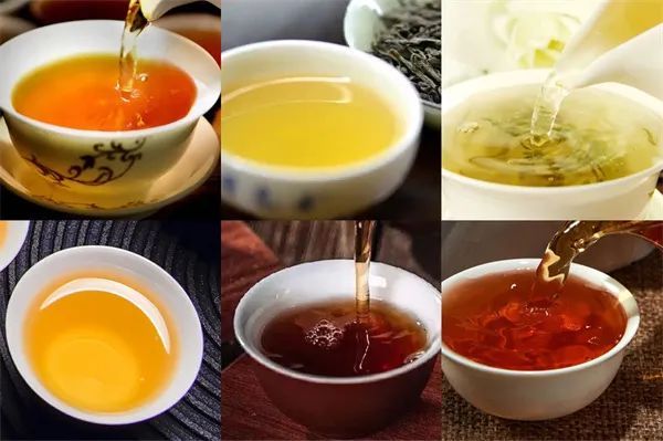 红茶、绿茶、白茶、黑茶……这到底是什么茶？