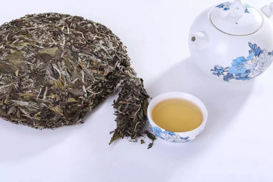 茶说｜为什么要收藏白茶？