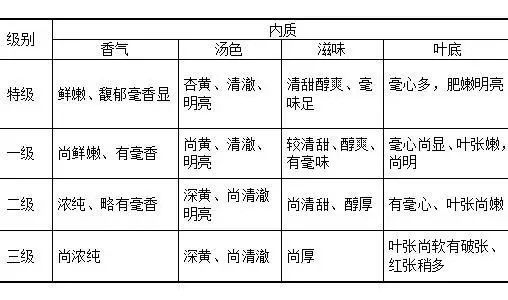 白茶知识术语